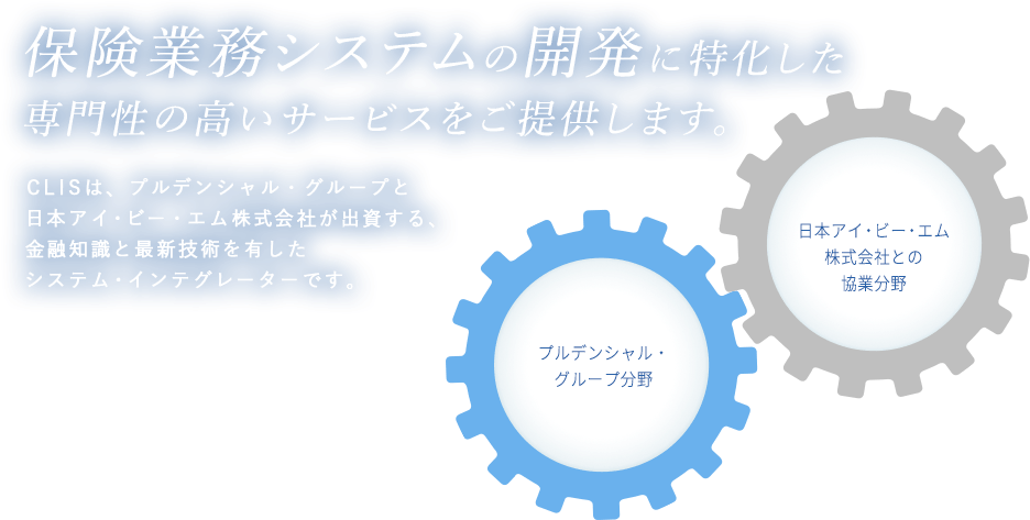 保険業務システムの開発に特化した専門性の高いサービスをご提供します。