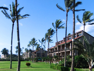 ハワイコンドミニアム